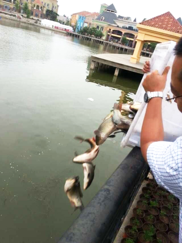 Z6·尊龙凯时「中国」官方网站