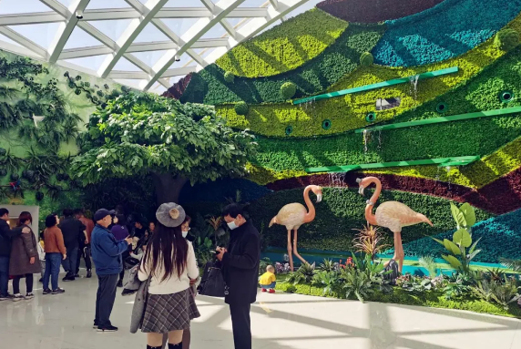 Z6·尊龙凯时「中国」官方网站