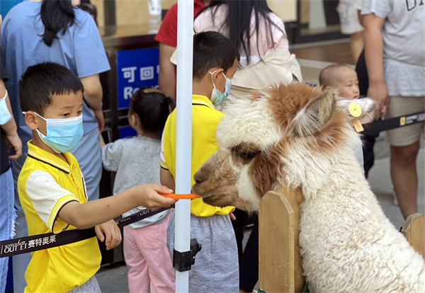 Z6·尊龙凯时「中国」官方网站