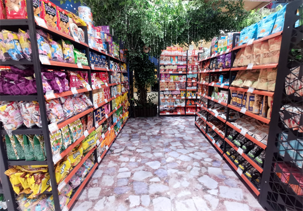 Z6·尊龙凯时「中国」官方网站