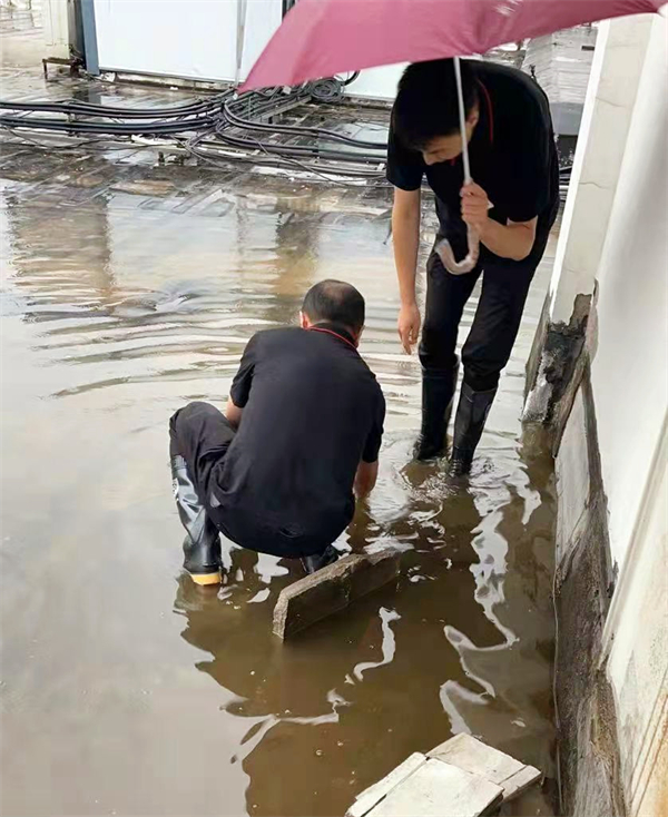 Z6·尊龙凯时「中国」官方网站