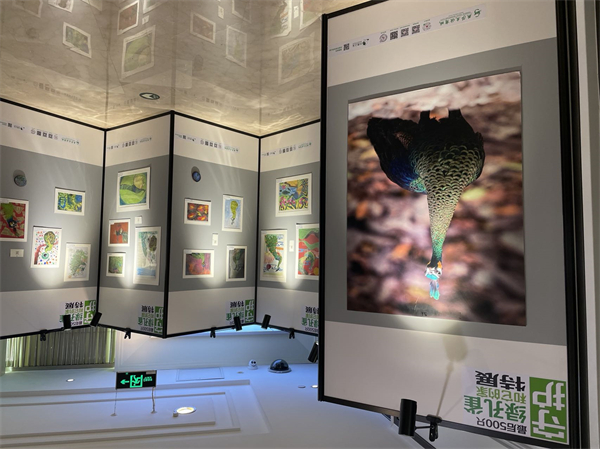 Z6·尊龙凯时「中国」官方网站